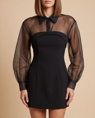 Sheer Organza Layered Mini Dress