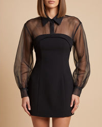 Sheer Organza Layered Mini Dress