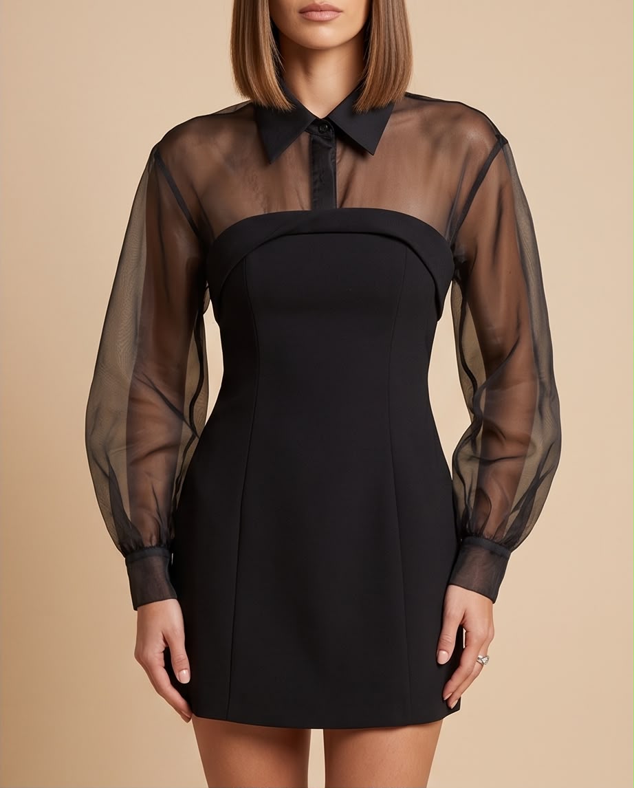 Sheer Organza Layered Mini Dress